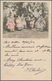 China - Fremde Postanstalten / Foreign Offices: 1902, Russian Offices. Picture Post Card Addressed T - Sonstige & Ohne Zuordnung