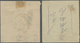 China - Besonderheiten: Express Letter Stamps: 1906, 10 C. Grass Green, Section C Canc. Bisected Bil - Sonstige & Ohne Zuordnung