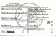 USA: Omni Tel  - TeleCard World '95 Exposition New York - Sonstige & Ohne Zuordnung