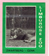 Sticker - Limburgse Zoo - Zwartberg Genk - Leeuwen - Autocollants