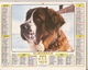 Calendrier PTT 1975 (Nord, Plans Villes, Marées) Enfants Dans Poulailler, Chien St Bernard - Grand Format : 1971-80