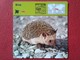 ESPAGNE SPAIN FICHA SHEET FICHE ERIZO HÉRISSON HEDGEHOG IGEL VER FOTO/S Y DESCRIPCIÓN ANIMALES ANIMAL IDEAL COLECCIÓN - Animales