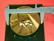 Delcampe - SUPERBE ! GROSSE MÉDAILLE DIA .98 / 660 GRAMMES épaisseur 1.35 Cm ANNÉE DU CHIEN 2006  Avec Support Par BAUER - Otros & Sin Clasificación