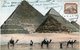 41679 Egypt,  Maximum 1910 The Pyramids , Archeology,  (see 2 Scan) - Archéologie