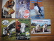 Lot 12  Cartes ANIMAUX HUMORISTIQUES ( Humour Animal - Dierlijke Humor - Animal Humor ) - Andere & Zonder Classificatie