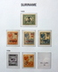 Suriname Collection 1925-1975 In Davo Luxe With Slipcase MNH/Postfris/Neuf Sans Charniere - Verzamelingen (in Albums)