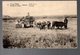 CONGO - ENTIER STIBBE 43 - VUE 70 - ABA 1914 Vers NAMUR - TTB   - PL8 - Ganzsachen