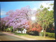 Afrique Du Sud Carte De Port Elizabeth 2002 Pour Bassersdorf - Brieven En Documenten