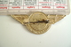 Vintage Pin's Junior Airline Pilot Metal Pin Badge Aviation Airlines Airplane   Pin's Insigne - Airplanes