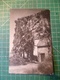 Elsenborn. Carte-photo. Vers 1920 - Elsenborn (Kamp)