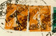 Delcampe - 8 Cartes Postales Affranchies Par Timbres De Roulette Semeuse - 1906-38 Semeuse Camée