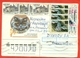 Russie 1995.Persian Blue Cat. Inflation.The Envelope Passed Mail. - Domestic Cats