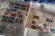 Delcampe - Umzugskiste Prall Gefüllt Mit Viel Material, Alben, Viele Alte Restesammlungen, Steckkarten, Deutschland, Europa, Welt - Kisten Für Briefmarken