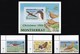 THEMATIC BIRDS, LOCAL BIRDS/CHRISTMAS - MONTSERRAT - Albatro & Uccelli Marini