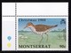 THEMATIC BIRDS, LOCAL BIRDS/CHRISTMAS - MONTSERRAT - Albatro & Uccelli Marini