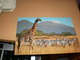 Giraffe And Zebras Kenya Air Mail - Girafes