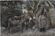 LE CENTRE DE  LA FRANCE :La Poste Aux Anes Pour L'Ascension Du Puy De Dôme (1907) - Autres & Non Classés