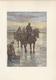 Delcampe - NU à 15€ EMILE VERHAEREN LA GUIRLANDE DES DUNES L' EDIT. D' ART PARIS EXEMPL. N° 244 - 30 ILLUSTRATIONS DE H. CASSIERS - 1901-1940