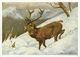 AK Gemälde Helmut Diller - Rothirsch [im Schnee] - Farbkarte #2505 - Utrillo