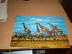 Giraffes Zebras Kenya  By Air Mail - Girafes