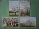 Lot De 6 Jolies Cartes Dessin PAYSAGE - Landschap - Landscape Scenery --- Arbres - Trees - Fleurs - Bloemen - Flowers - - Alberi