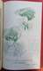 Delcampe - 1900 New Art Nouveau Annuaire Général De La Mode 1903 Grands Créateurs Sarah Bernhardt Corsets Robes Coiffeur Chapeaux - Fashion