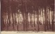 CPA 76 Les Petites Dalles Sous Bois Des Sapins  Voyage 1935 Rare - Autres & Non Classés