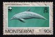 THEMATIC FISH:  DOLPHINS - MONTSERRAT - Dolphins