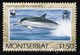 THEMATIC FISH:  DOLPHINS - MONTSERRAT - Dolphins