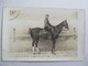 Militaria - Carte Photo Cavalier Du 10 ème Régiment De Chasseurs à Cheval - TBE - Régiments