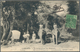 Französisch-Indochina: 1908. Picture Post Card Of 'Elephants In Forest' Addressed To France Bearing - Cartas & Documentos