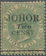 Malaiische Staaten - Johor: 1891 2c. On 24c. Green, Variety "CENTS" For CENTS, Mounted Mint With Ton - Johore