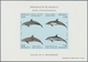 Thematik: Tiere-Meeressäuger (u.a. Wale) / Animals-aquatic Mammals: 1992/1994, MONACO: Whales And Do - Andere & Zonder Classificatie