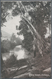 Delcampe - Australien - Ganzsachen: 1911, Victorian Scenes Postcards KGV 1d. Full-face COMPLETE SET Of The Twel - Postwaardestukken