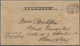 Britisch-Guyana: 1879. Telegram Envelope (opened For Display, Flap Missing) Addressed To New Amsterd - British Guiana (...-1966)