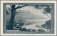 Delcampe - Südafrika - Ganzsachen: 1934, Pictorial Stat. Postcards Springbok ½d. Green/black With Outlined Box - Autres & Non Classés