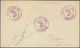 Vereinigte Staaten Von Amerika - Stempel: BROWNIES / GNOMES Violet Fancy Cancel + B/s "NARBERTH PA M - Marcofilie