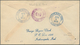 Vereinigte Staaten Von Amerika - Stempel: OLD FASHIONED PERSON CARRYS A BIG EGG (?) Fancy Cancel + B - Postal History
