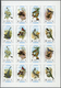 Delcampe - Adschman / Ajman: 1970/1972, Comprehensive U/m Collection Of Complete Sheets/large Units In Three Bi - Ajman