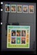 Delcampe - Antigua: 1862-1989: Almost Complete, Mostly MNH Collection Antigua 1862-1989 On Hagner Stockpages In - 1960-1981 Autonomie Interne