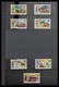 Delcampe - Antigua: 1862-1989: Almost Complete, Mostly MNH Collection Antigua 1862-1989 On Hagner Stockpages In - 1960-1981 Autonomie Interne