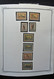 Delcampe - Aserbaidschan (Azerbaydjan): 1919-2009: Very Well Filled, Mostly MNH Collection Azerbaijan 1919-2009 - Aserbaidschan