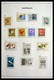 Delcampe - Australien: 1913-1983: Nicely Filled, MNH And Mint Hinged Collection Australia 1913-1983 In 2 Davo L - Sammlungen