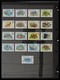 Delcampe - Bermuda-Inseln: 1865-2008: Very Well Filled, MNH, Mint Hinged And Used Collection Bermuda 1865-2008 - Bermudes