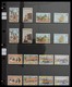 Delcampe - Bermuda-Inseln: 1865-2008: Very Well Filled, MNH, Mint Hinged And Used Collection Bermuda 1865-2008 - Bermuda