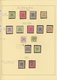 China - Lokalausgaben / Local Post: Hankow, 1893/96, Mint And Used Collection On Pages Inc. Varietie - Sonstige & Ohne Zuordnung