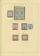 China - Lokalausgaben / Local Post: Hankow, 1893/96, Mint And Used Collection On Pages Inc. Varietie - Sonstige & Ohne Zuordnung