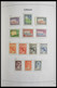 Curacao: 1873-1980: Complete, Almost Only MNH And Mint Hinged Collection (few Stamps Cancelled) Cura - Curaçao, Nederlandse Antillen, Aruba