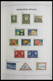 Delcampe - Curacao: 1873-1980: Complete, Almost Only MNH And Mint Hinged Collection (few Stamps Cancelled) Cura - Curaçao, Nederlandse Antillen, Aruba