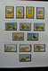 Delcampe - Falklandinseln: 1937-1998: Well Filled, Mostly MNH (till 1949 Hinged) Collection Falkland Islands 19 - Falklandinseln